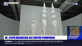 Paris: une rétrospective consacrée au sculpteur Brancusi au Centre Pompidou