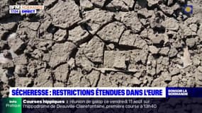 Sécheresse: des restrictions étendues dans l'Eure après la baisse du niveau des nappes phréatiques