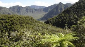 Les pitons, cirques et remparts de l'île de la Réunion ont été inscrits dimanche sur la liste du patrimoine mondial par l'Unesco.