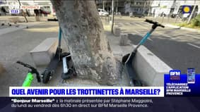 Marseille: quel avenir pour les trottinettes électriques dans le centre-ville?