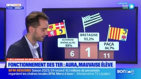 Auvergne-Rhône-Alpes: la ponctualité des TER pointée du doigt