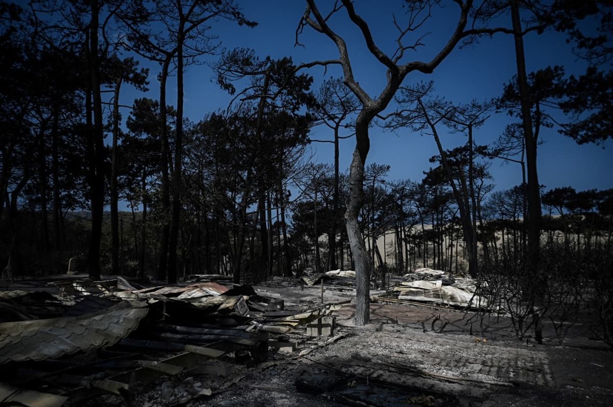 Feux en Gironde les images des campings dévastés aux abords de la dune du Pilat