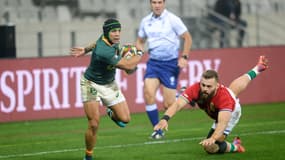Le Sud-Africain Cheslin Kolbe face aux Lions britanniques, le 7 août 2021