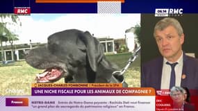 Niche fiscale pour les animaux: "C'est inespéré"