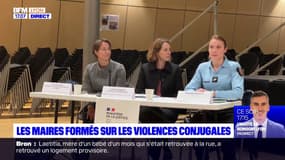 Rhône: les maires formés à la prise en charge des victimes de violences conjugales