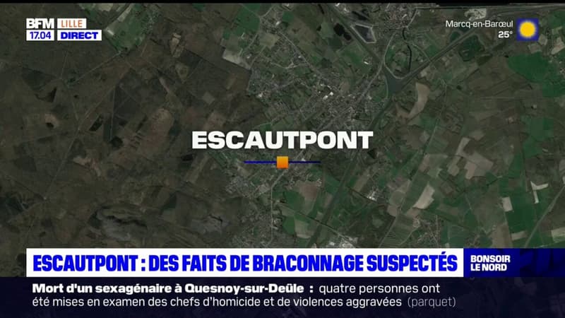 Escautpont: deux chasseurs suspectés de braconnage