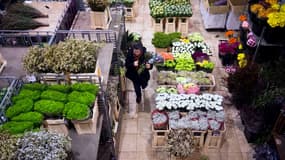 Fleuriste au marché (photo d'illustration)