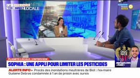 Planète locale du lundi 25 mars - Sophia : une appli pour limiter les pesticides 