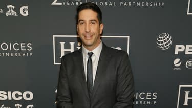 David Schwimmer
