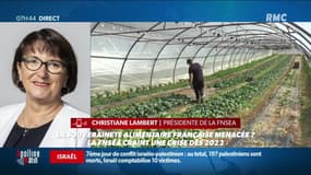 L'invité de l'actu : Christiane Lambert - 17/05