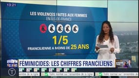 #ParisScan - Féminicides: les chiffres franciliens