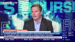 Quentin Chaperon (U'Wine) : Quels peut-être les impacts de la baisse de température sur la production et les prix du vin  ? - 09/04