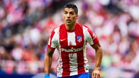 Luis Suarez
