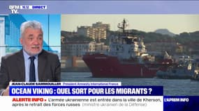 "Ce n'est pas une crise des migrants mais une crise de l'accueil des migrants" selon le président d'Amnesty International France