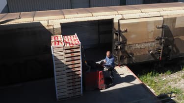 Un employé charge des produits frais dans le train des primeurs, qui part de Perpignan en direction de Rungis.