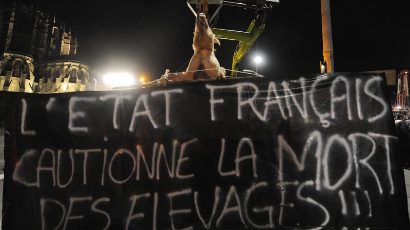 Des éleveurs de porcs, lors d'une manifestation le 16 février (photo d'illustration).