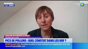Pollens: l'ATMO partage un nouvel outil à destination des allergiques