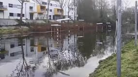 La base nautique où a été repéré le cétacé.