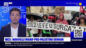 Nice: une nouvelle manifestation pro-palestinienne organisée ce mercredi