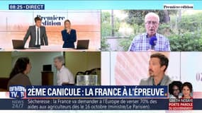 2ème canicule, la France à l'épreuve