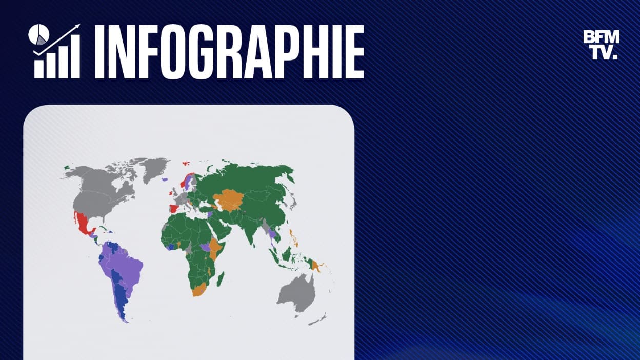 CARTE. Quels pays ont déjà reconnu l'État de Palestine?