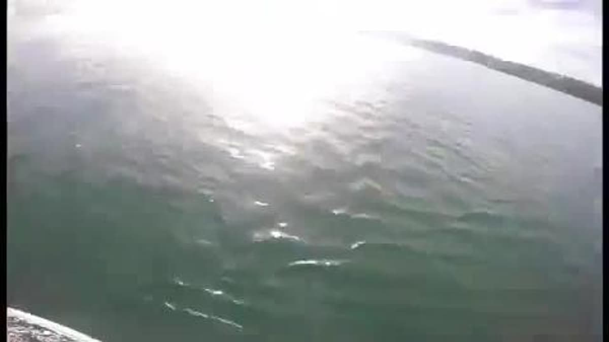placeholder video