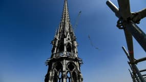 Un millier de chênes sélectionnés pour la reconstruction de la flèche de Notre-Dame de Paris.