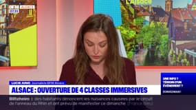Rentrée scolaire: quatre classes immersives ouvrent en Alsace