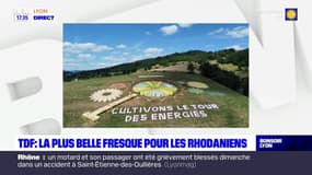 Salon de l'agriculture: certains exposants du Rhône ont reçu le premier prix des fresques du Tour de France 