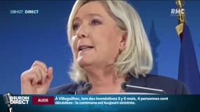 Renégociation des traités, éloge du "localisme", les grandes lignes du manifeste du RN pour les Européennes  