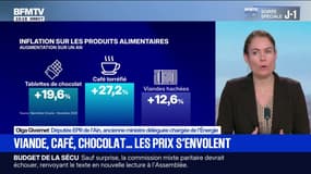Augmentation des prix: "Il faut encore sensibiliser les grands groupes pour limiter cette hausse", pour Olga Givernet, députée Ensemble pour la République