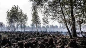 Le parc naturel de Deurnese Peel aux Pays-Bas, le 23 juin 2017