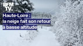 Haute Loire: la neige fait son retour à basse altitude