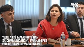 "Elle a été maladroite dans sa communication", Éwanjé-Épée fait le bilan de Maracineanu