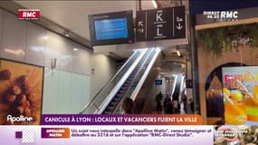 Canicule à Lyon : locaux et vacanciers fuient la ville 