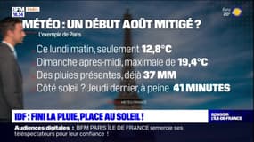 Île-de-France: le retour du soleil après un  mois de juillet maussade