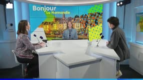 Le Café des Sorties: les nuits de la lecture, le salon des tricoteurs et Janvier Musiq'Halle