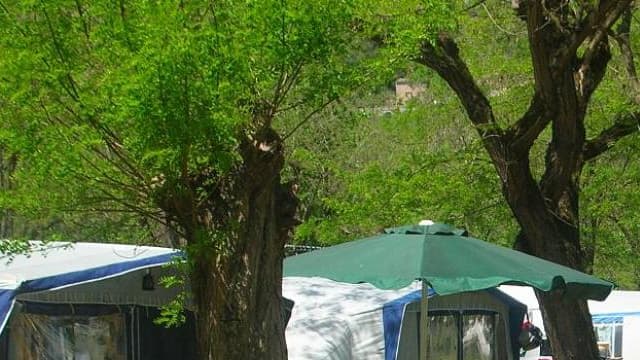 La fillette, en vacances à Saint-Alban-Auriolles, près de Vallon-Pont-d'Arc, dormait seule dans une tente dans la nuit de lundi à mardi quand elle s'est mise à crier
