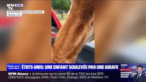 États-Unis: les images d'une girafe qui soulève une enfant dans un parc animalier