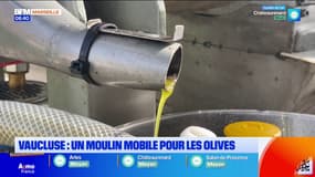 Vaucluse : un moulin mobile pour presser l'huile d'olive