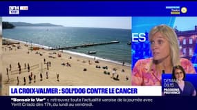 Top sorties du vendredi 6 octobre - La Croix-Valmer : Soli'DOG contre le cancer