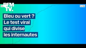 Un test pour déterminer la couleur du turquoise divise les internautes et devient viral