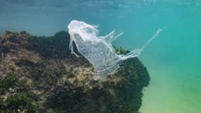 Un sac plastique flotte dans les eaux de l'océan Indien le 31 décembre 2021 près de Galle, au Sri Lanka 