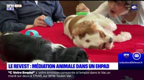 Var: médiation animale dans un Ehpad