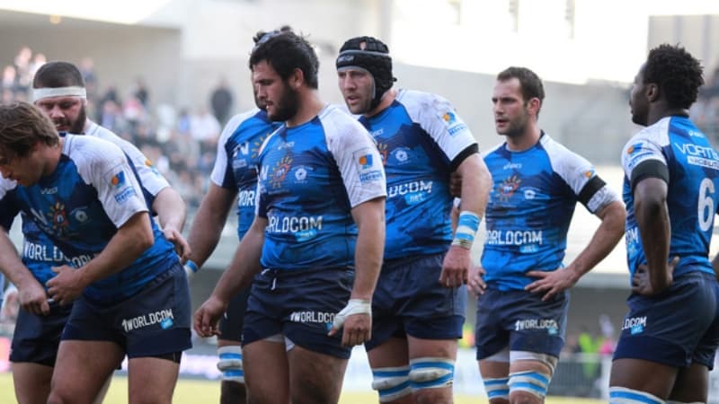 A Montpellier, on ne s'attendait pas à se trouver en finale