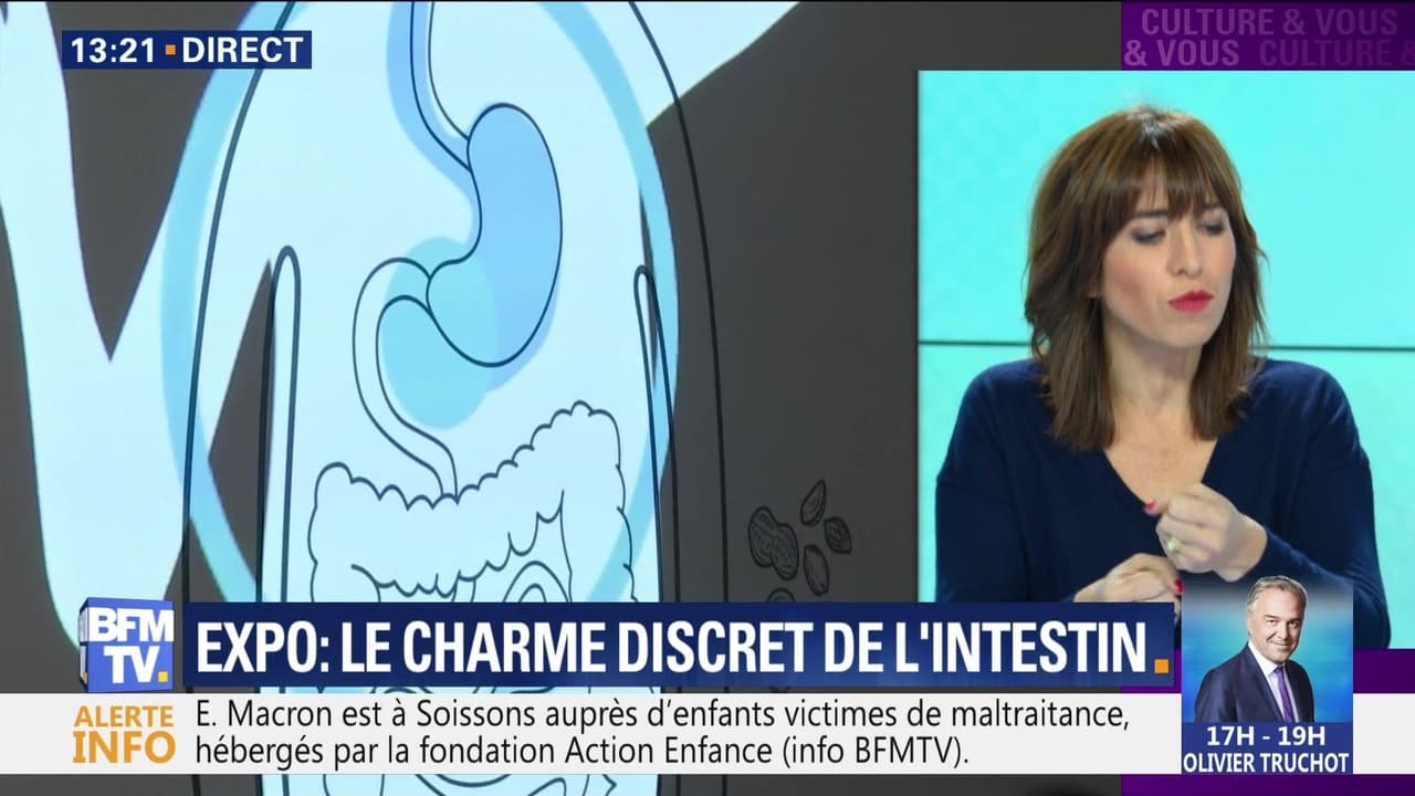 Expo: le charme discret de l'intestin