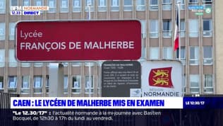 Enseignante agressée au couteau à Caen: le lycéen mis en examen