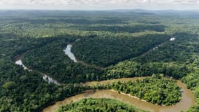 Vue aérienne de la rivière Mana dans la forêt amazonienne, le 12 octobre 2017 en Guyane française. 