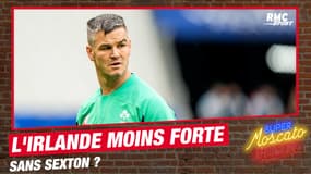 Rugby / VI Nations : Sans Sexton, l'Irlande est-elle moins forte ? 