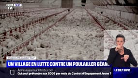 Un village en lutte contre un poulailler géant dans l'Yonne